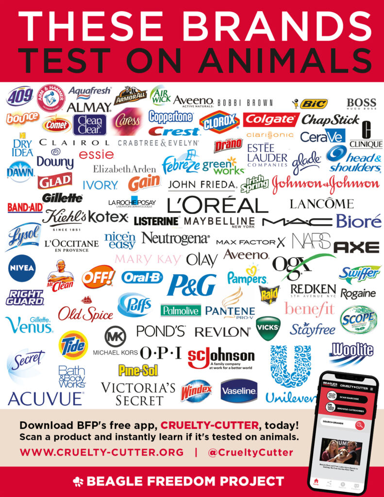 Cruel Companies